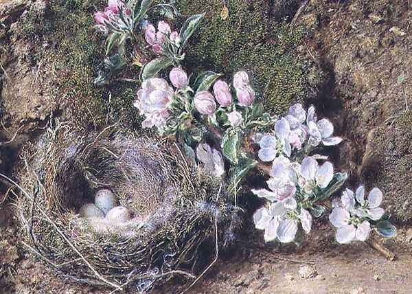 Branch of Apple Blossom and Birds Nest Oil Painting by William Henry Hunt