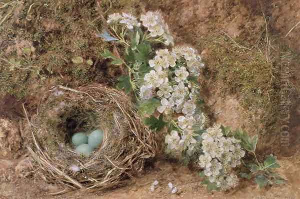 May Blossom and a Hedge Sparrows Nest Oil Painting by William Henry Hunt