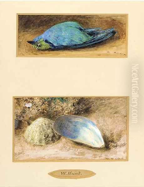 Still life of a dead bird; and Still life of two shells on a mossy bank Oil Painting by William Henry Hunt