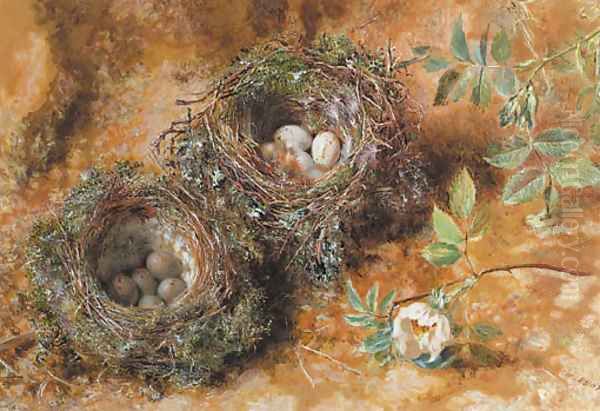 Still life with birds' nests Oil Painting by William Henry Hunt