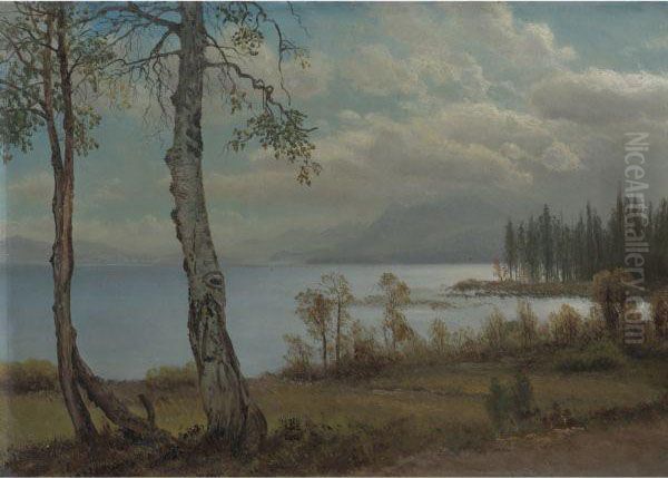 Lake Tahoe Oil Painting by Albert Bierstadt