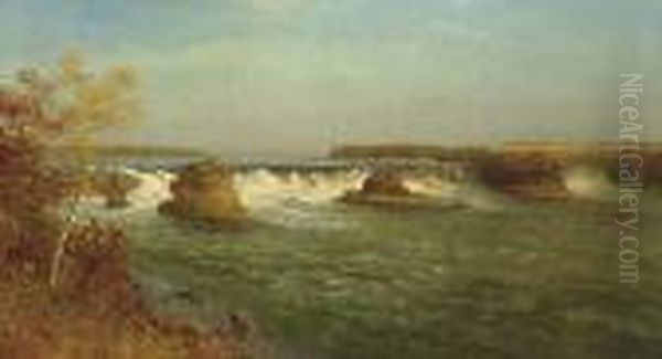 The Falls Of Saint Anthony Oil Painting by Albert Bierstadt