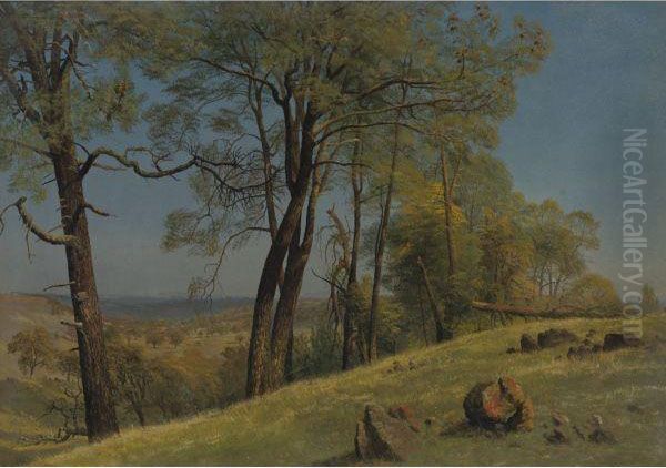 Rockland County, California Oil Painting by Albert Bierstadt