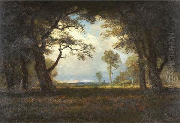 Wooded Landscape With Clearing Oil Painting by Albert Bierstadt