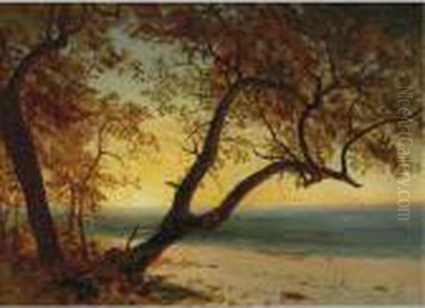 Landscape In The Bahamas Oil Painting by Albert Bierstadt