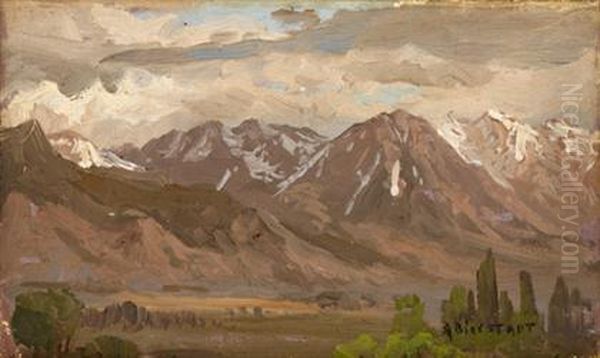 Montana Landscape Oil Painting by Albert Bierstadt