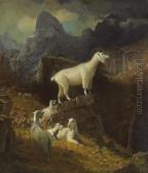 Rocky Mountain Goats Oil Painting by Albert Bierstadt