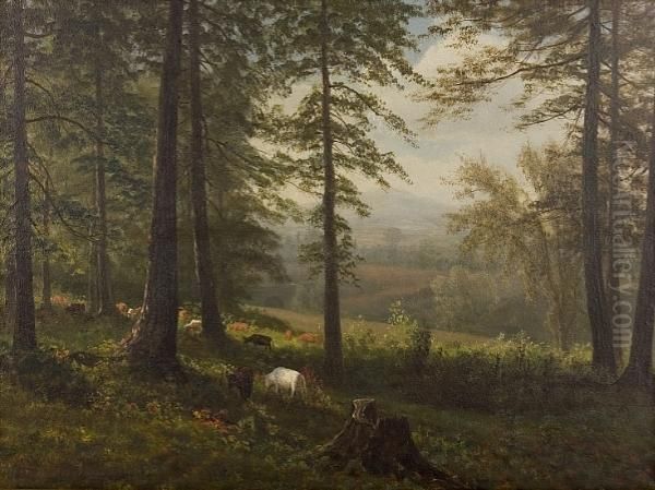 View To A Clearing Oil Painting by Albert Bierstadt