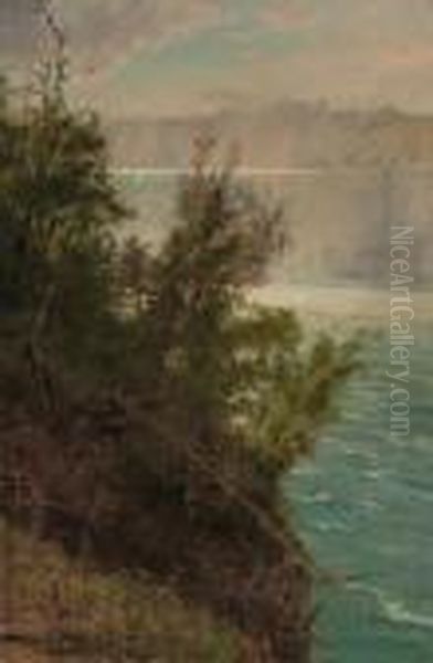 Niagara From The American Side Oil Painting by Albert Bierstadt