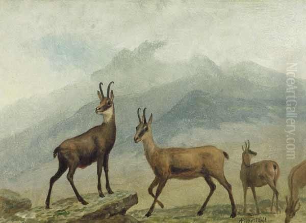 'chamois, Switzerland'' Oil Painting by Albert Bierstadt