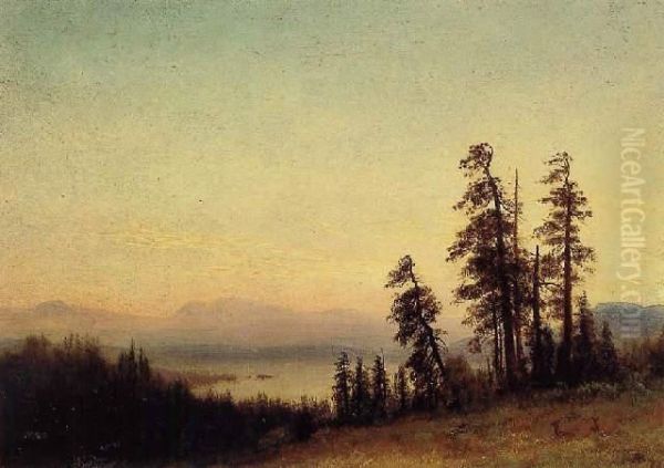 Landscape With Deer Oil Painting by Albert Bierstadt