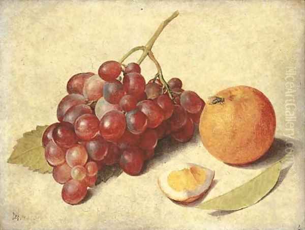 A bunch of grapes on the vine Oil Painting by Jacob van Hulsdonck