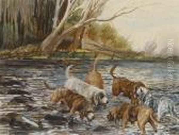 Six Otterhounds In A River Oil Painting by Binks, R. Ward