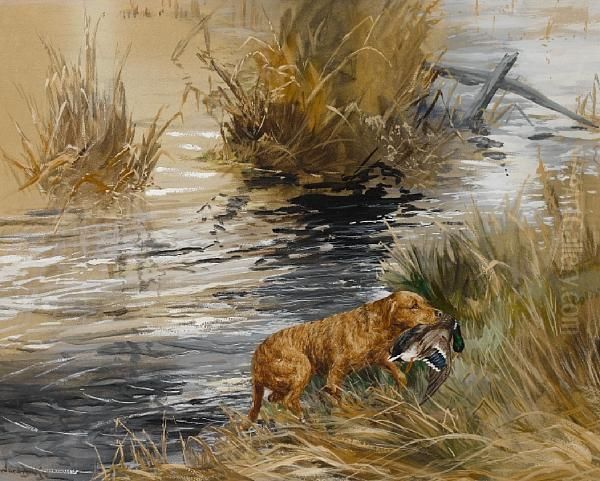 Chesapeake Bay Retriever Oil Painting by Binks, R. Ward