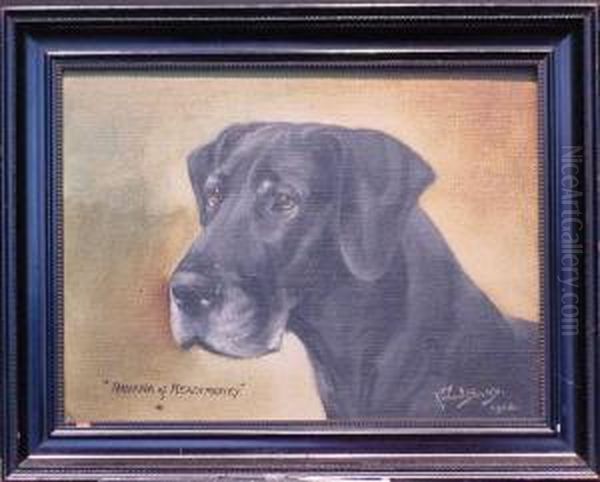 Ravana Of Readmoney 
(black Labrador) by Binks, R. Ward