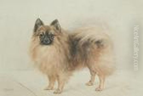 Bijou, A Pomeranian Oil Painting by Binks, R. Ward