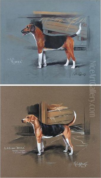 Foxhounds, L & S Hunt, 'sheila' And'raider' Oil Painting by Binks, R. Ward