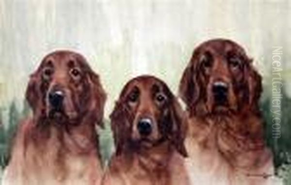 Portrait Of Three Irish Setters Oil Painting by Binks, R. Ward