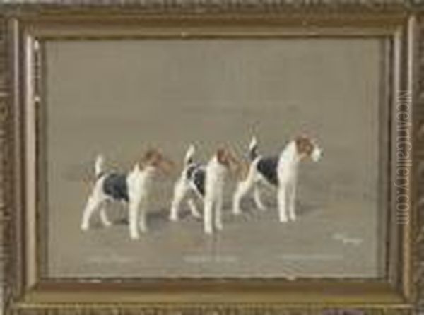 Drei Drahthaarfoxterrier - Ch. 
Epping Extreme, Ch. Crackley Sensation Und Ch. Barrington Bridegroom Oil Painting by Binks, R. Ward