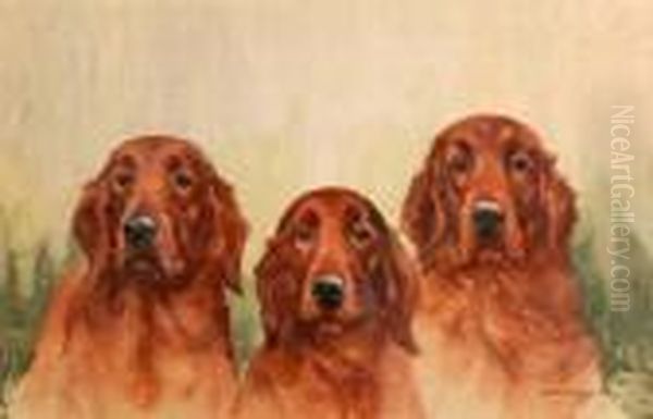 Of Three Red Setters Oil Painting by Binks, R. Ward