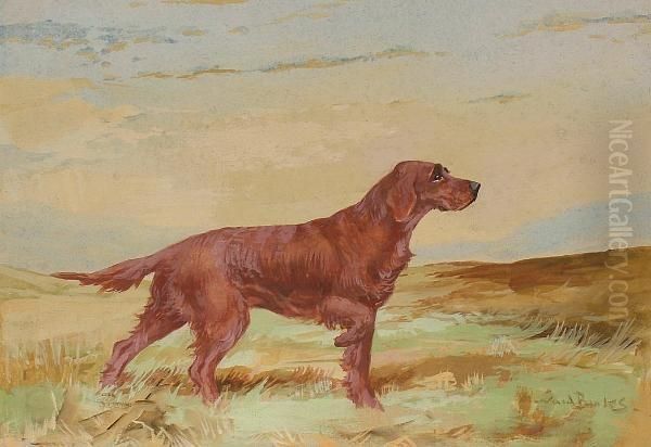 Irish Setter. Oil Painting by Binks, R. Ward