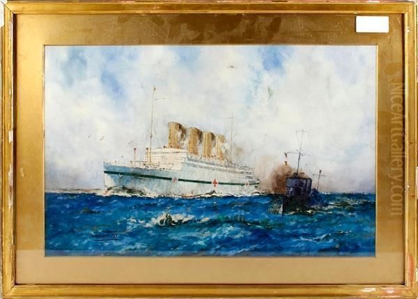 The Hospital Ship 