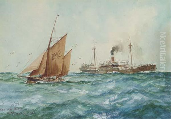 Sail And Steam Oil Painting by William Minshall Birchall