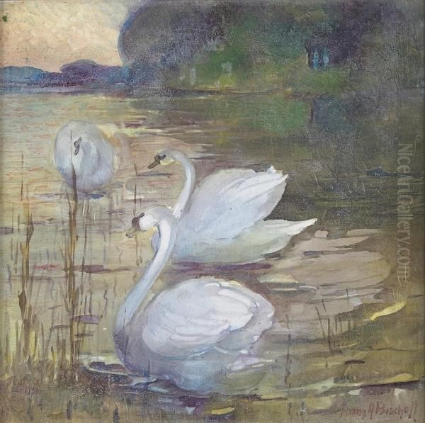 Three Swans By A Lake Oil Painting by Franz Bischoff