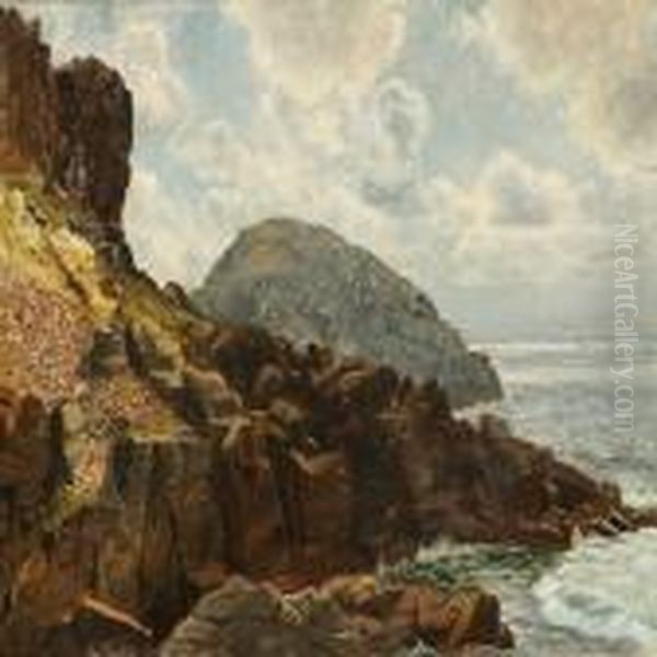 Coastal Scene From Kullen, Sweden Oil Painting by Christian Vigilius Blache