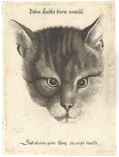 Head of a Cat Oil Painting by Wenceslaus Hollar