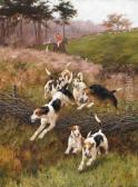 Hounds On The Scent Oil Painting by Thomas Blinks