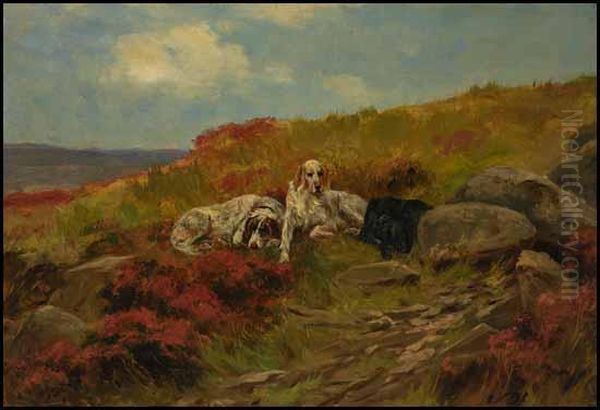 Three Setters Resting By A Path Oil Painting by Thomas Blinks