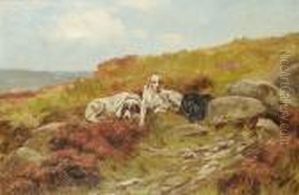 Three Setters In A Landscape. Oil Painting by Thomas Blinks