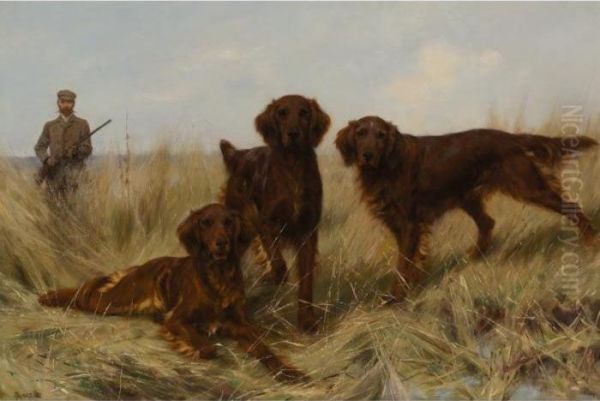 A Trio Of Irish Setters In The Field Oil Painting by Thomas Blinks