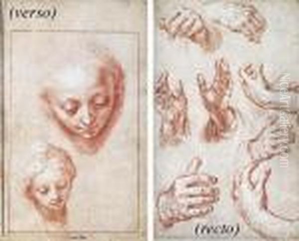 Studies Of Hands (recto); Two Studies Of The Head Of The Virgin(verso) Oil Painting by Abraham Bloemaert