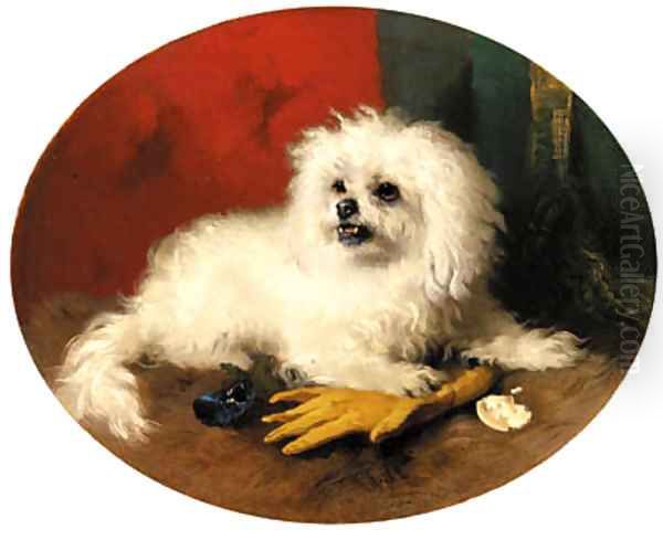 A Maltese Terrier Oil Painting by George W. Horlor