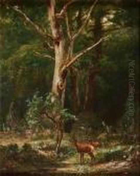 Biches Enforet Oil Painting by Karl Bodmer