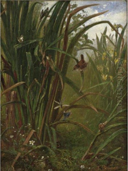 Marsh Interior Oil Painting by Karl Bodmer