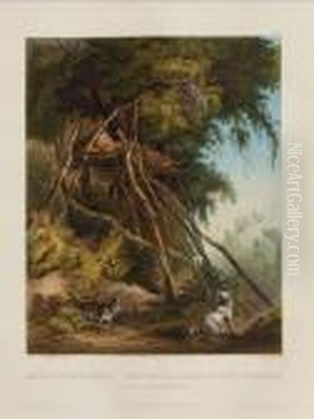 Tombs Of Assinboin Indians On Trees, From Oil Painting by Karl Bodmer