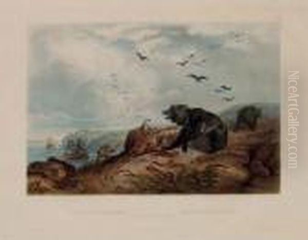 Hunting Of The Grizzly Bear, From Oil Painting by Karl Bodmer