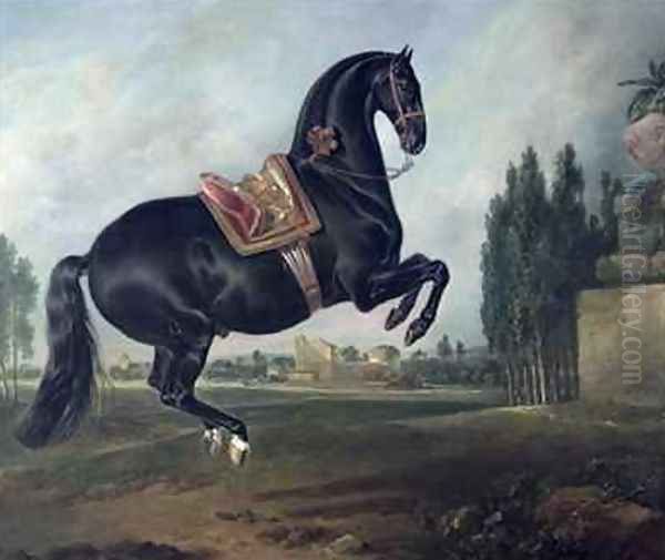 A black horse performing the Courbette 2 Oil Painting by Johann Georg Hamilton