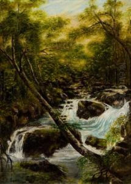 Forest River Oil Painting by William Joseph Caesar Julius Bond