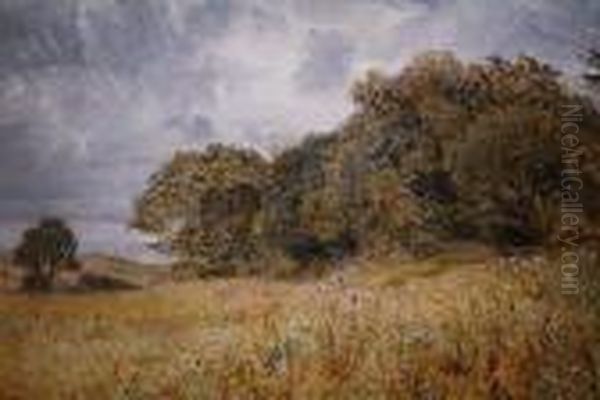 A Wooded Landscape Oil Painting by William Joseph Caesar Julius Bond