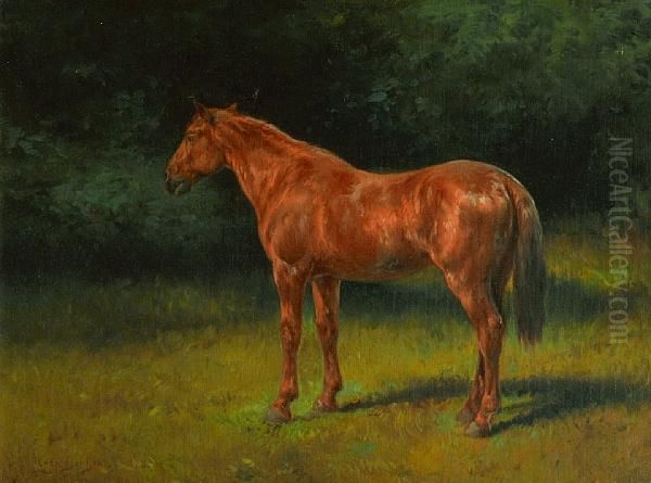 The Red Sorrel Oil Painting by Rosa Bonheur