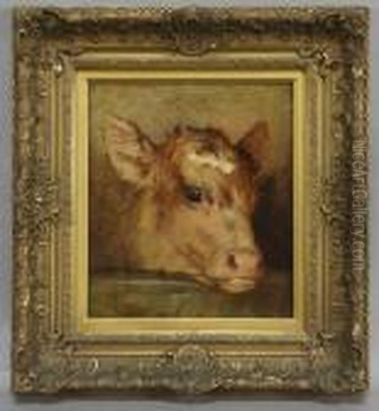 Calf's Head Oil Painting by Rosa Bonheur