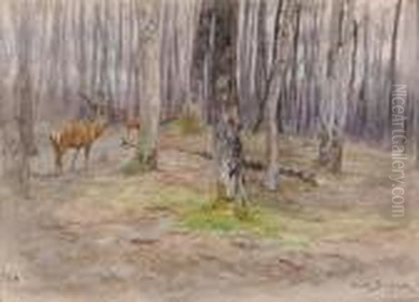 Cerf En Sous-bois Oil Painting by Rosa Bonheur