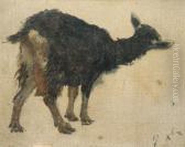 Etude De Chevre Oil Painting by Rosa Bonheur