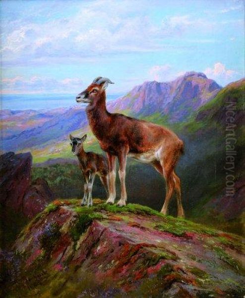 Bouquetins En Montagne Oil Painting by Rosa Bonheur