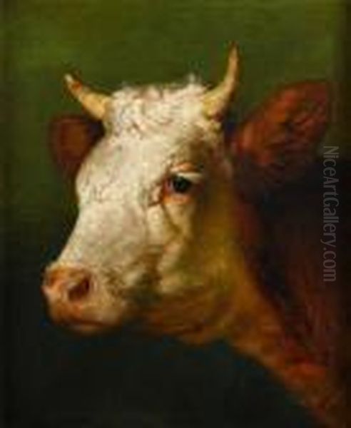 Head Of A Bull Oil Painting by Rosa Bonheur