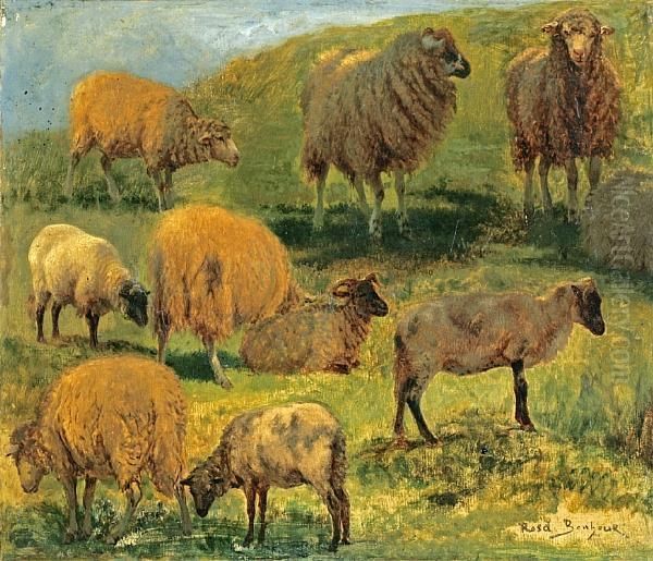 Studies Of Sheep In A Landscape Oil Painting by Rosa Bonheur